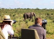 photographic-safari